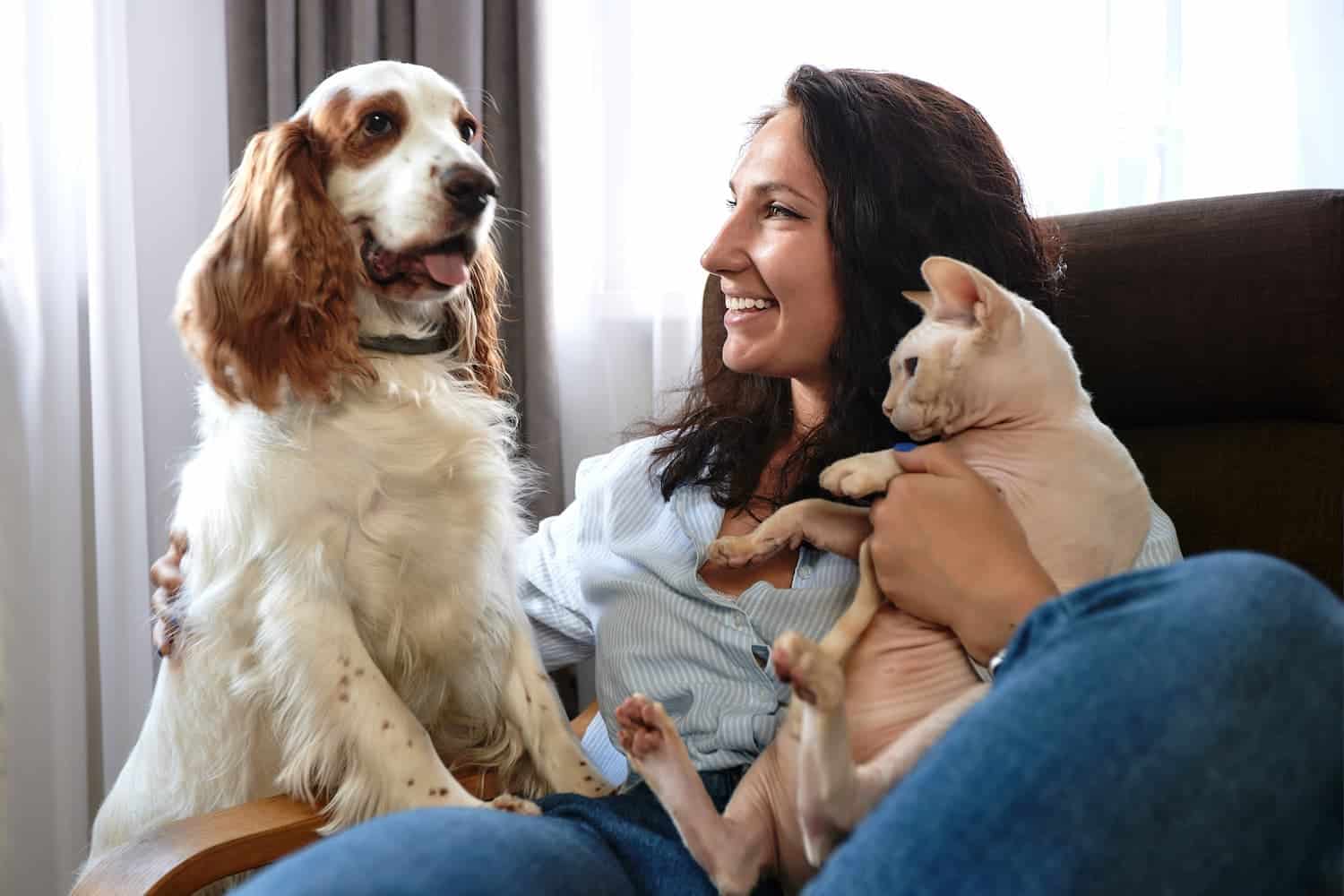 A woman sits on a chair smiling at a dog while holding a hairless cat. The room is well-lit.