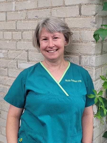 Woman in teal scrubs stands and smiles against a light brick wall, with "Nicole Palmieri DVM" embroidered on her top. Green leaves are visible on the right side of the image.