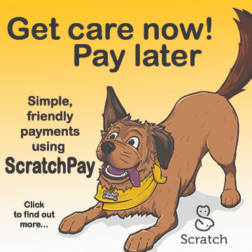 Illustrated dog on a yellow background with text promoting ScratchPay for simple, friendly payments. Includes Click icon and Scratch logo.