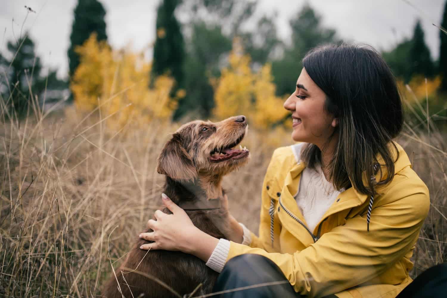 A woman in a yellow jacket smiles at a brown dog in a field with yellow foliage in the background.