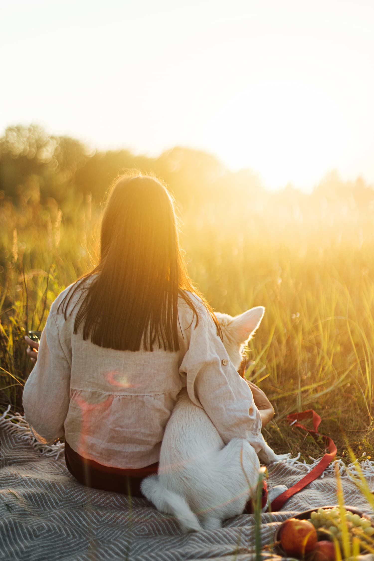 A person with long hair sits on a blanket in a field at sunset, holding a small white dog.